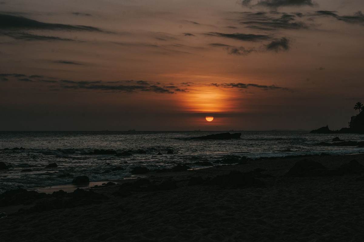 Deserted Mauritian beach at dusk with palms leaning over the sand