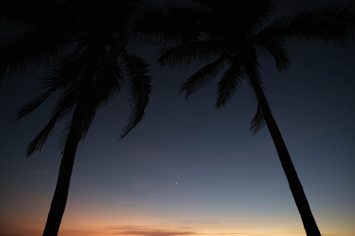 Palm trees over a calm lagoon on the north coast of Mauritius